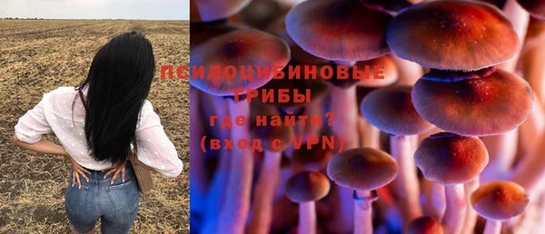 мдма Каменногорск